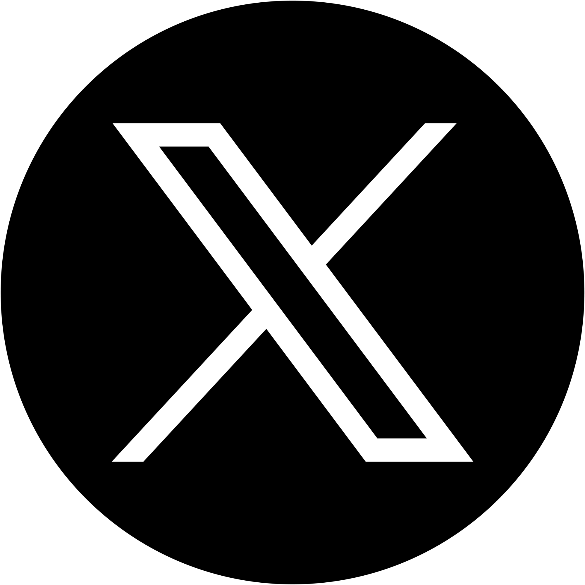 X (Twitter) logo